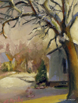 Ash Tree at Sunset