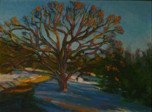 Winter Tree at Sunset