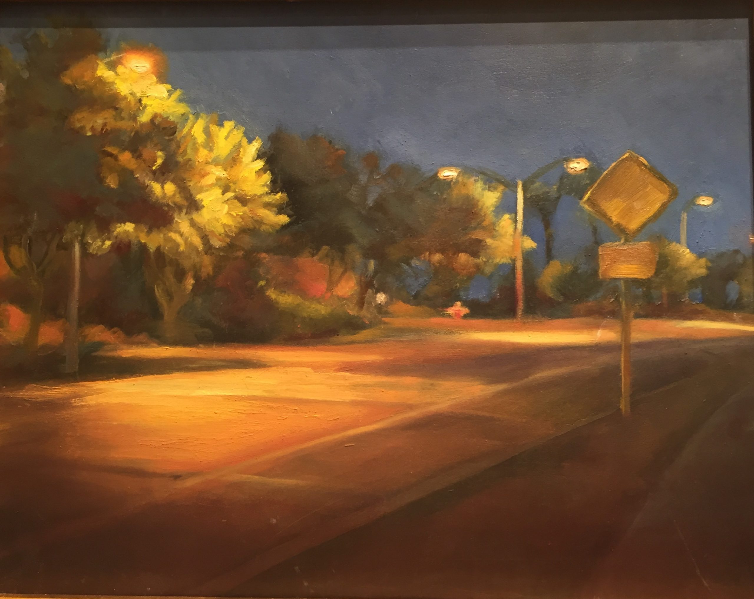 Arizona Nightwalk