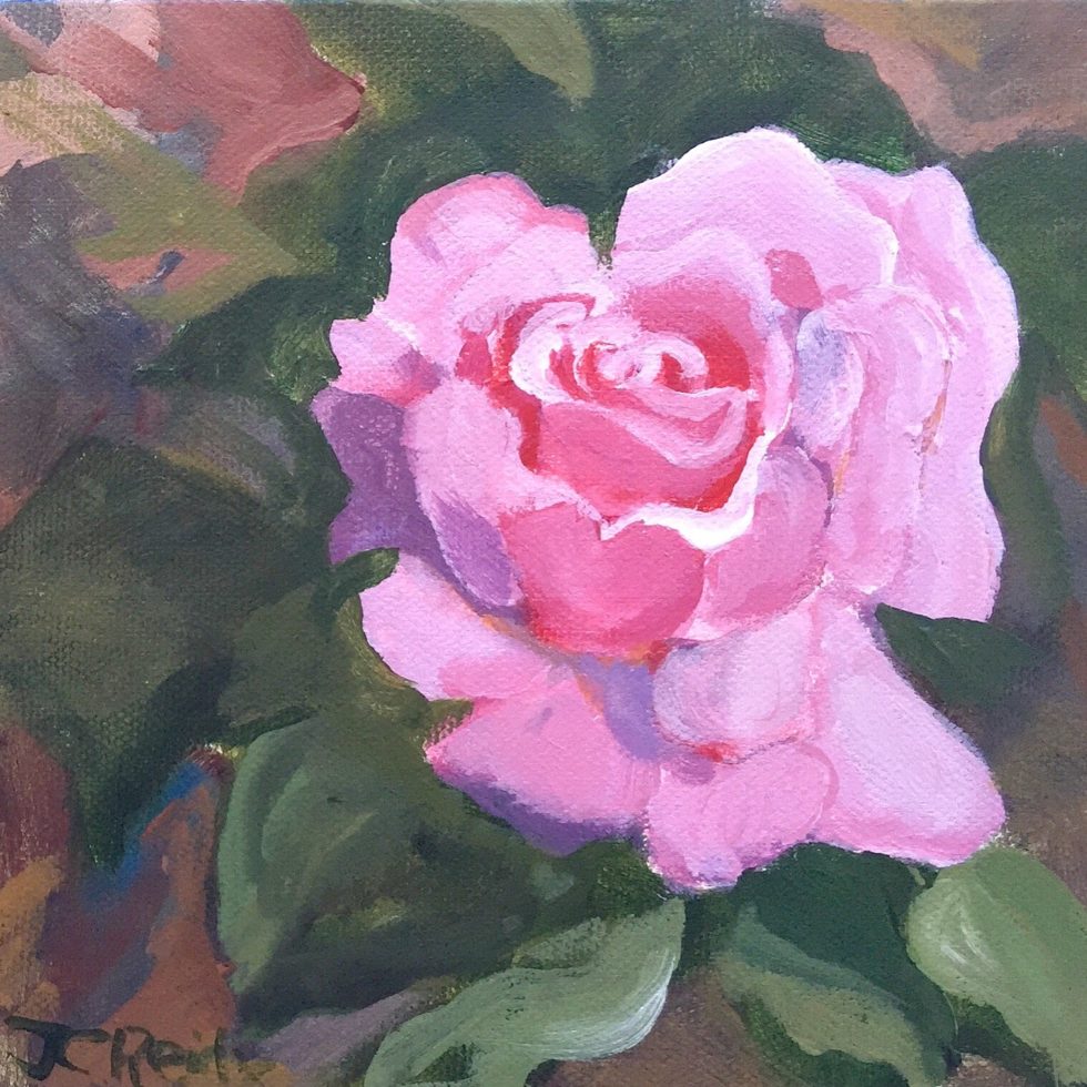 Pink Rose