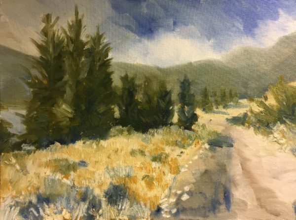 Fir Trees Along the Lonely Road
