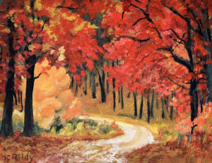 Red Leaves on fall trees along path