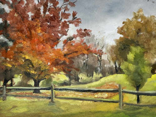 Trees Near Brookview