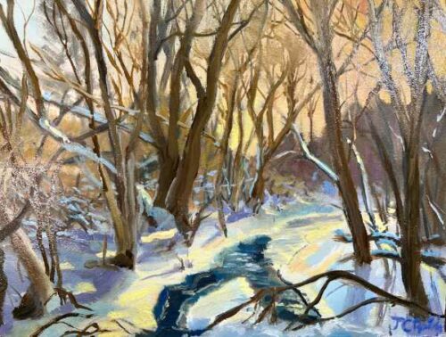 Winter Creek In the Kettle