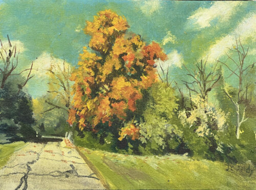 Near the Bridge at the Park